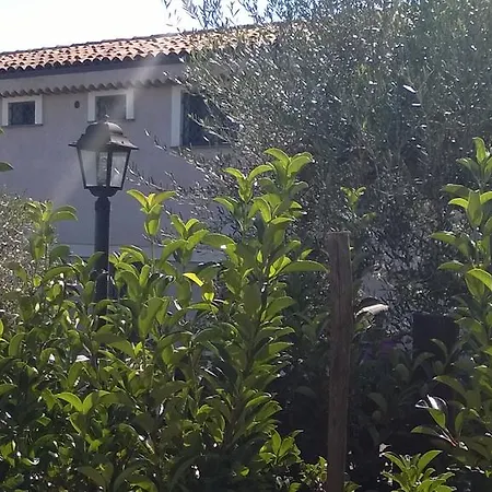 Seacily Etna House Villa *