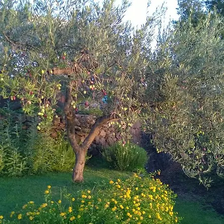 Seacily Etna House *